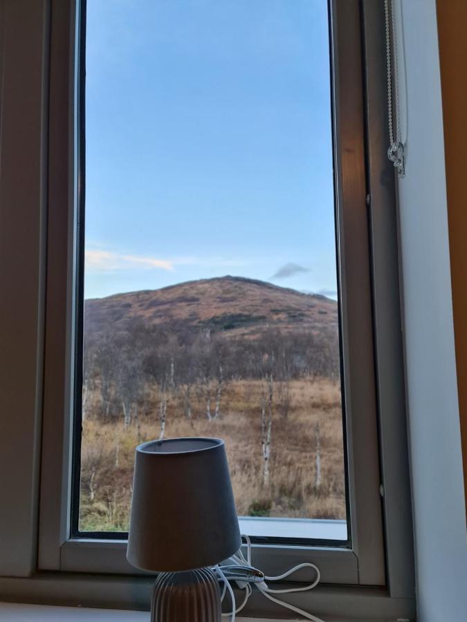 Great Villa With Amazing View トロムソ エクステリア 写真